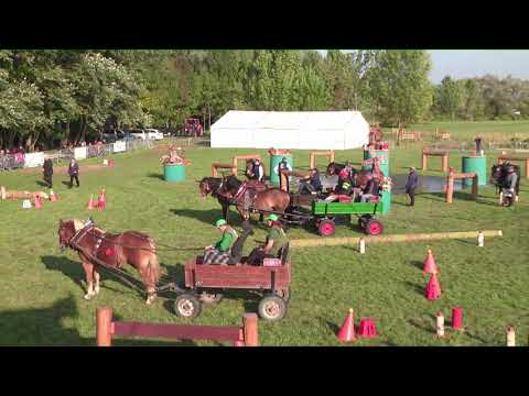 Zahájení soutěže jednospřeží: MČR chladnokrevných koní, Tlumačov – 2. 10. 2021