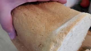 Amazon Basics bread maker part 2