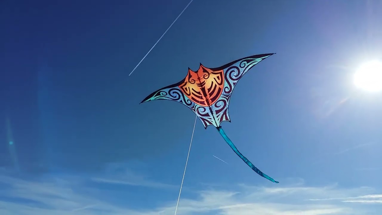 Lietajúci šarkan Manta Kite