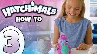How To Play With Your Hatchimals