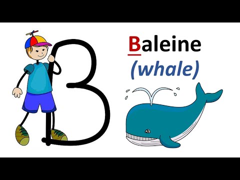 French Lesson 1 - French Alphabet - L'Alphabet français - Alfabeto francés - Französisch