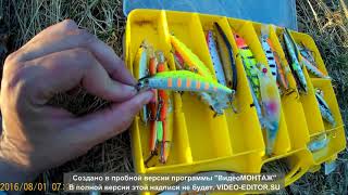 На что ловят кумжу и семгу