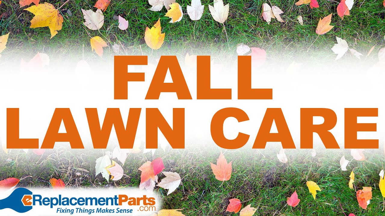 Fall Lawn Care: 4 Key Tips