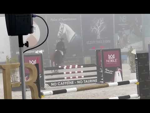 Lamaze TN (Grandorado TN x Carthago) at Bonheiden.