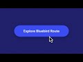 Introduction to Bluebird Route