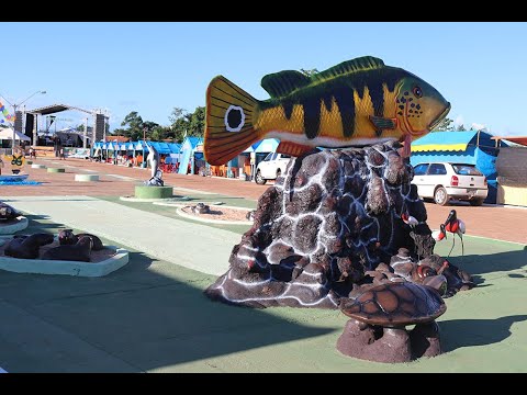 Resumo Histórico: São Sebastião do Tocantins [Documentário]