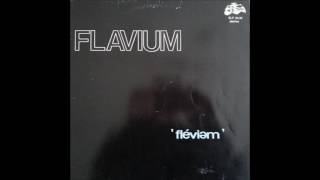 Flavium - When The Booze Hits Me video