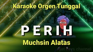 Download lagu PERIH ( MUCHSIN ALATAS ) / KARAOKE ORGEN TUNGGAL mp3
