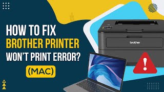 How to Fix Brother Printer Won