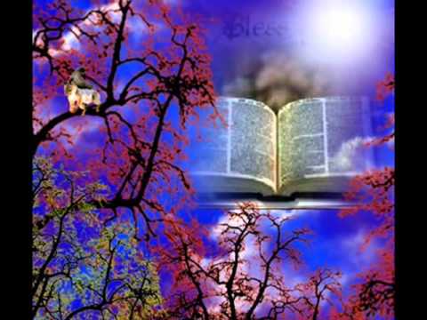 Sela Dalziel - Saame 23