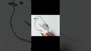 Send this to someone who loves ROBINS ♥️🎄 #shorts #christmas