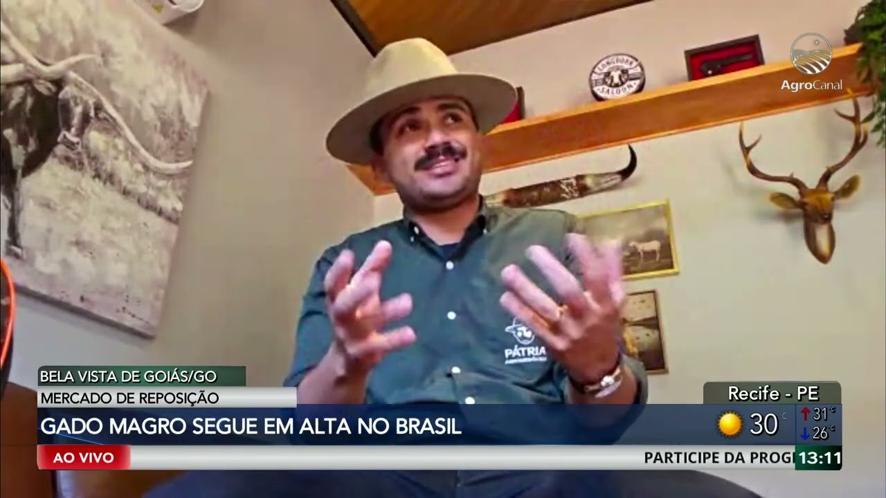 Redução na oferta do mercado de reposição pode fechar frigoríficos, aponta Ronaty Makuko