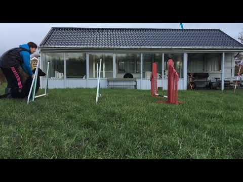 Fellah -1 lesson - 3 session jumping mania - 10/11-17