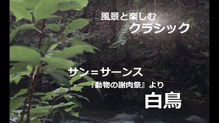 Download lagu 【風景と楽しむクラシック・癒やしの音楽】サン=サーンス:『動物の謝肉祭』より「白鳥」 mp3 Download lagu 【風景と楽しむクラシック・癒やしの音楽】サン=サーンス:『動物の謝肉祭』より「白鳥」 mp3