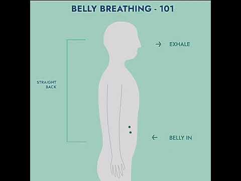 Belly abdominal breathing exercise #relaxing #breathingforanxiety #bellybreathing