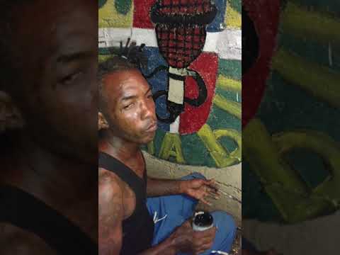 creando el logo de haina 0880