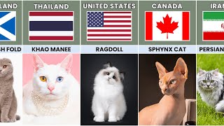 Cat Breeds From Different Countries