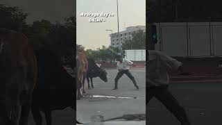 Drunk Man vs Cow 😂😂😂🤣🤣🤣 #cool #funny #fail #help #india #crash #vip #fail #laugh  #lol #baba