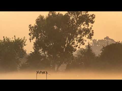 MBarbetti Kraf  // Octubre