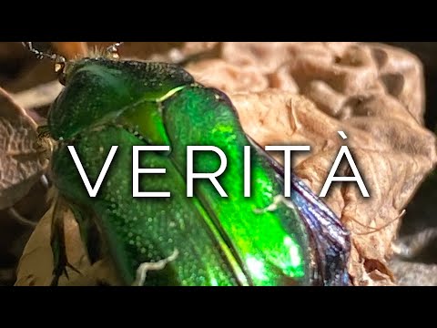 1171-IT Michaela, VERITÀ - Ipnosi Esoterica ∞ Lucio Carsi