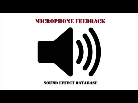 Microphone Feedback Sound Effect