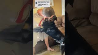 How to show your dog you are alpha!! Seriously tho don’t do this  #bearfromtiktok bear isn’t normal