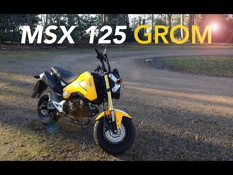 Honda MSX 125 GROM Review & Walkaround