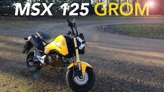 Honda MSX 125 GROM Review & Walkaround