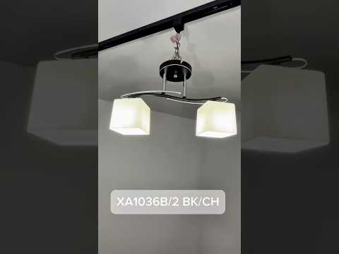 Миниатюра изображения товара Потолочный светильник Aitin-Pro НПБ 02-2х40-101 / XA1036B/2 (черный/хром)