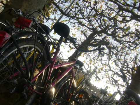 Bicikl - Zvonko Špišić