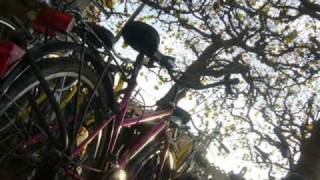 Bicikl - Zvonko Špišić