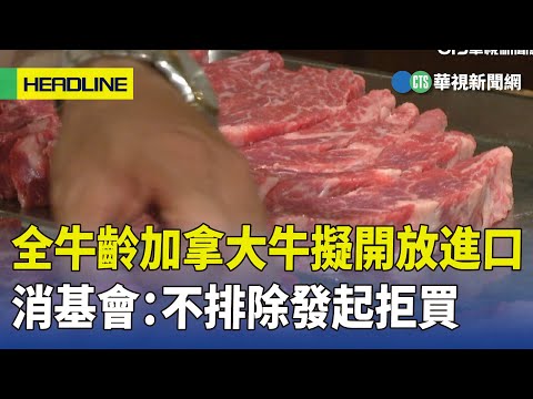 全牛齡加拿大牛擬開放進口　消基會：不排除發起拒買