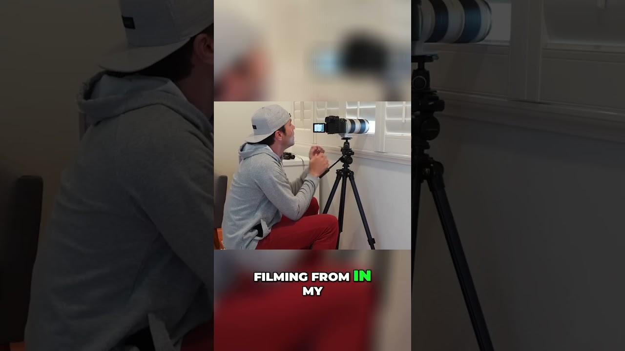 Morning Squirrel Safari: Filming the Wild from Home