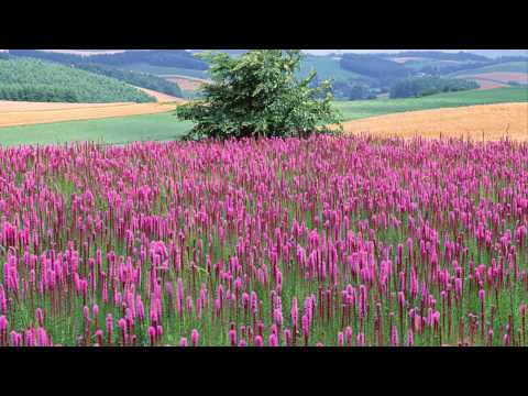 West One Music - New hope (part 4)