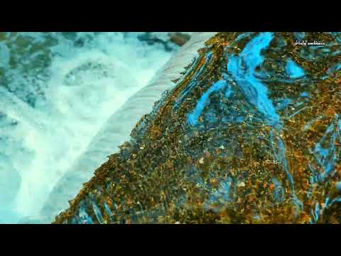 Listen To The Rhythm Of Flowing Water 💧 /The Sound Of River Water Flowing To Calm Your Mind.