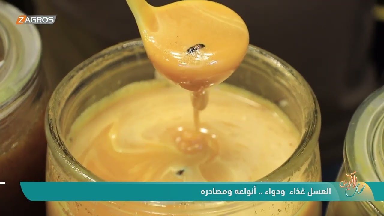 فيديو | العسل .. غذاء ودواء, أنواعه ومصادره - نسمات زاكروس