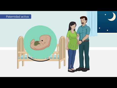 Curso de Promotor del Desarrollo Infantil 0