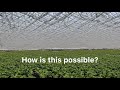 The World S Biggest Rooftop Greenhouse