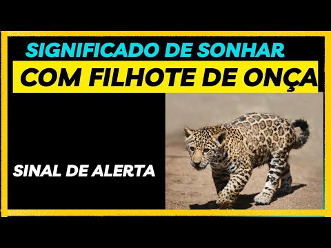 Significado de sonhar com #filhote de #onça - Sinal de alerta