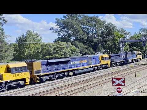Triple Headed Pacific National Empty Coal Train - LDP007 LDP001 - Maitland Steamfest 2024