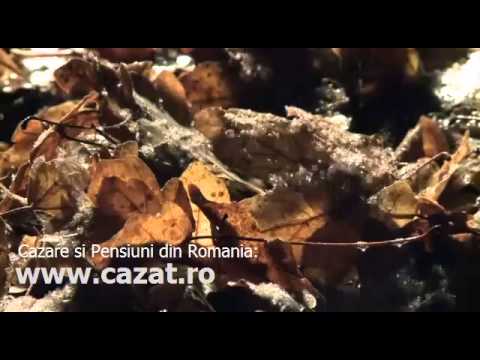 Cazare Santamaria Orlea, Hunedoara - Cazat.ro