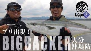 [USHIO Kishi] yellowtail）摔倒了！大分县，沿海堤防岸边jigging | SHOGO MURAKAMI YASUYUKI ICHIMIYA