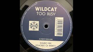 WILDCAT - Too Busy - B2 - Words Of Infinity