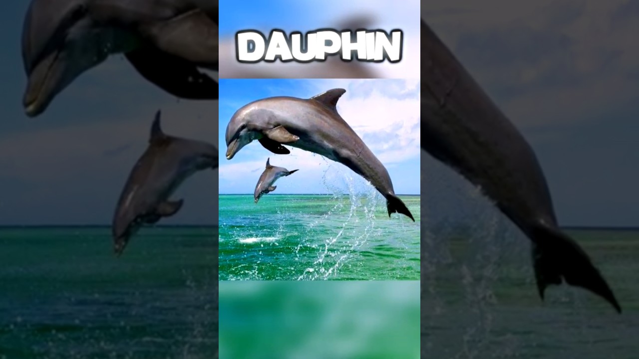 VOICI COMMENT LES ANIMAUX DISENT AU REVOIR AUX ANIMAUX MORTS ☠😰 #shorts