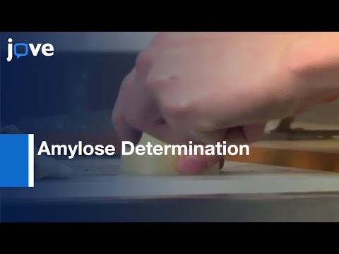 Rapid High Throughput Amylose Determination-Freeze Dried Potato Tuber Samples l Protocol Preview