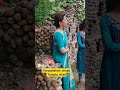 Tomato Donga Actress Varalaxmi Sarathkumar Funny Video Varalaxmi Videos Varalaxmi Movies