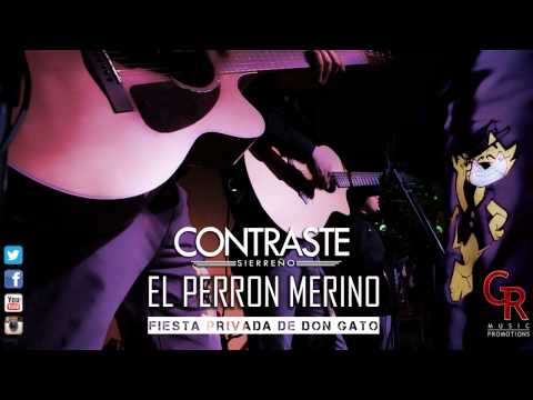 CONTRASTE SIERREÑO / EL PERRON MERINO [FP DON GATO][2014]