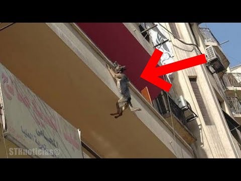 Quedaron sorprendidos cuando vieron un perro colgando de un balcón, ¿qué pasó después? ¡Increíble! Video