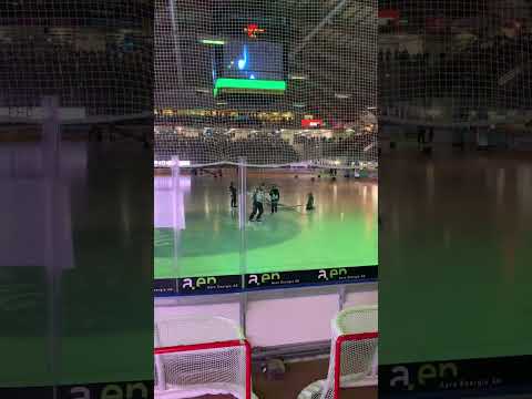 Einlauf EHC Olten vs. GCK Lions Playoff Spiel 5 2024