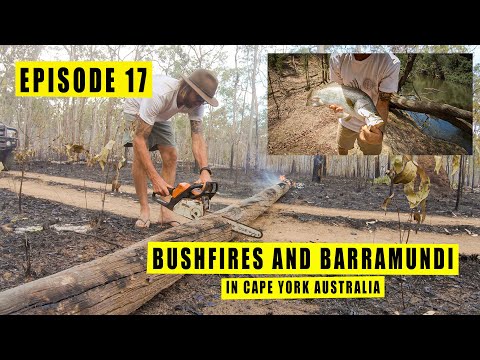 THE ONLY TRACK OUT WAS ON FIRE! 4x4 and tinny bashing to get into barra waters.